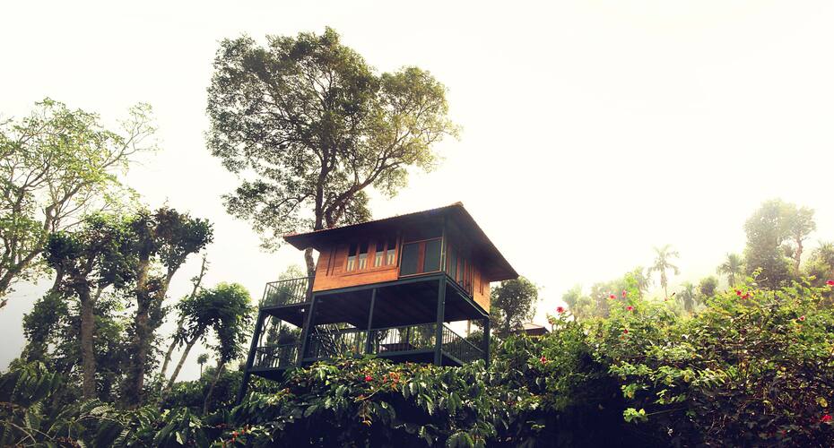 Marmalade Springs Boutique Plantation Resort, Wayanad 5